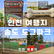 인천 송도도그파크 애견동반 여행,도그파크 예약 및 주차정보