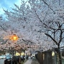 뉴욕 벚꽃 엔딩