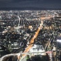 일본 오사카 여행코스 전망대 추천, 하루카스300 전망대 입장권 할인