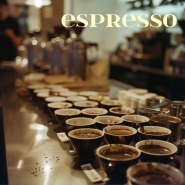 에스프레소(Espresso)바 커피머신/에스프레소커피머신/에스프레소카페창업