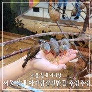 서울 실내 아기와 영등포 타임스퀘어 주렁주렁 할인 정보 및 유아휴게실 위치