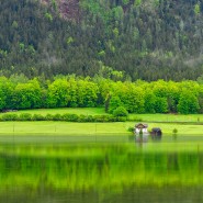 [유럽 여행] 오스트리아 할슈타트 호수의 봄 / Spring in Lake Halstadt, Austria