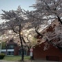 4월의 마음-행운가득🍀(쌤쌤쌤 솔직후기/용산공원/잠실 런베뮤)