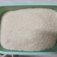 곰팡이 피기 쉬운 여름철 락앤락 쌀🍚 보관용 쌀통 구입