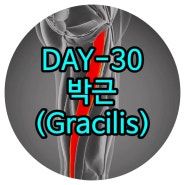 삼송피티 DAY-30 박근(Gracilis) 운정재활