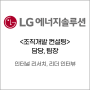 [컨설팅 후기] LG에너지솔루션 비전체계 내재화 리더십 프로그램 Internal Research