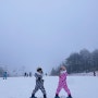 2024_강원도여행:) 초등 아이와 스키장, 평창 알펜시아 스키장 스키강습, 겨울방학 스키여행