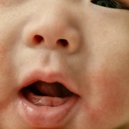 우당탕탕 육아일기 : 금쪽이, 엄마가 되다. [5개월 아기 154일]