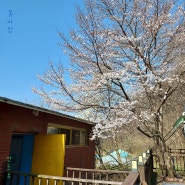 (음원 유통) 연초록 - 봄바람 (2024-05-01)