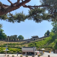 [공주여행] 쌈밥 맛집 기품명가 / 공산성 산책 / 카페 공다방