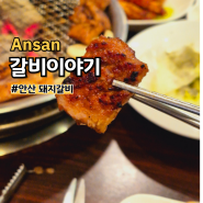 안산 선부동 돼지갈비:: 선부역 가족모임 하기 좋은 갈비이야기(메뉴추천)