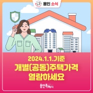 [용인소식] 2024.1.1. 기준 개별(공동) 주택 가격 열람하세요!