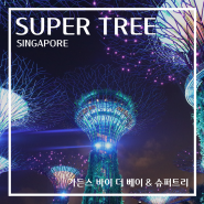 싱가포르 가든스 바이더베이 슈퍼트리쇼 시간 지도 가는법 셔틀 플라워돔 싱가포르 자유여행
