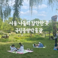 서울 시내 나들이 국립중앙박물관, 용산가족공원