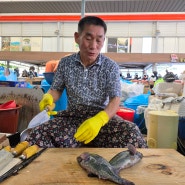 남창 옹기종기시장의 전설의 칼잡이 달인이 운영하는 거제수산에서 회썰어왔어요