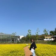 청주 유채꽃 2024 도시농업 페스티벌 방문 후기