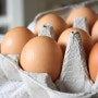 [비건 베이킹] 계란 대신 넣을 수 있는 재료는?