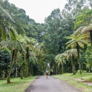 완벽한 휴식 장소, 인도네시아 식물원 6