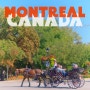 캐나다 7박8일 몬트리올 여행코스 숙소 교통 등