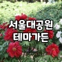 5월 서울근교 아이와 갈만한곳 과천 서울대공원 테마가든 모란