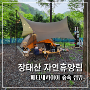 장태산 자연휴양림 야영장 메타세콰이어 숲속 캠핑 B12