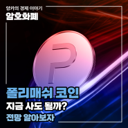 폴리매쉬 코인 지금 사도 될까? 전망 알아보자