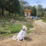 전북 군산시 - 단독 이용 가능한 숲 '루루나나숲'