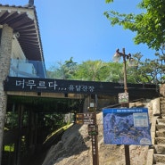 유달산 숲속뷰+바다뷰 전부 가능한 '유달산장' 목포역 근처 카페
