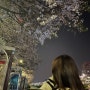 지나가버린 벚꽃 슬펐던 4월의 벚꽃 너무 빨리 져서 아쉬운 나의 4월 기록