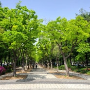 대전 둔산동 놀거리 보라매공원 산책 봄꽃 구경