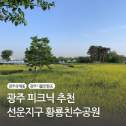 광주 유채꽃 선운지구 황룡친수공원 강아지 산책장소 추천