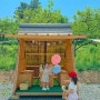 대구근교 경산 가오픈중인 초신상 팜크닉 농장 " 팜더랑 "