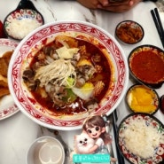 한국에서 유학중인 중국현지인 단골 맛집 하우마라탕 강남점