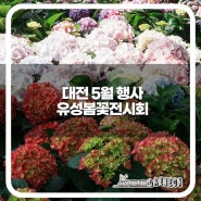 대전 가볼 만한 곳 5월 행사 유성봄꽃전시회