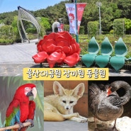 울산대공원 장미원 동물원 이팝나무 핀 5월 여행지
