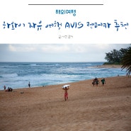 하와이 자유여행 AVIS 렌터카 추천 예약팁 한국 공식 사이트 할인쿠폰