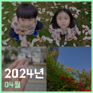 24년 04월 봄