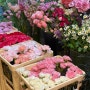 14년차 꽃집 서당개의 어버이날 카네이션 팔이피플 후기