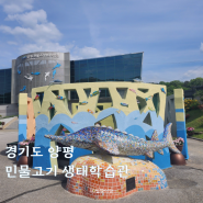 경기도 양평 아이와 가볼만한 곳 민물고기 생태학습관