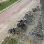 네덜란드 거주민이 된다는 것: 자전거 (페리) 기차 자전거로 출퇴근하는 삶