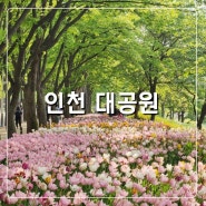 인천대공원 튤립 꽃구경 주차장 자전거 서울근교 꽃놀이