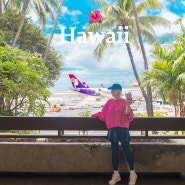 하와이여행 하와이 항공권 <하와이안항공> 비행기 미국입국심사