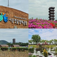 경기도 시흥 갯골생태공원 피크닉 푸드트럭 있네요.