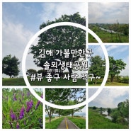 [김해 가볼만한곳]솔뫼생태공원