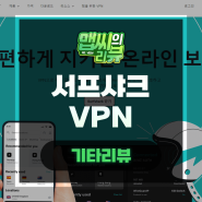 롤토체스 PBE 서프샤크 VPN으로 북미서버 게임 접속