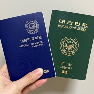 여권 발급 준비물 (셀프 여권사진 찍기, 온라인 개명 후 재발급, 구여권 비교)