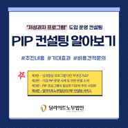 [PIP시리즈④] HR 성과향상프로그램 PIP 컨설팅 서비스 (#저성과자 #기대효과 #비용견적)