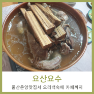 울산온양맛집 요산요수에서 오리백숙 먹고 울주군 카페까지