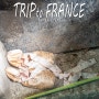 프랑스 여행 파리 가볼만한곳 몽마르트르 묘지 :: 달리다, 드가를 만날 수 있는 시간