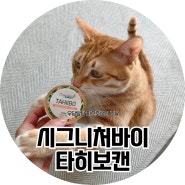 유자 간식캔 :: 시그니처바이 타히보캔 재구매, 내돈내산 재구매 고양이 간식캔